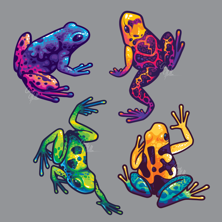 toxic frogs